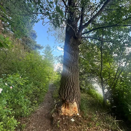 度假居 Maly Nad Zalewem *